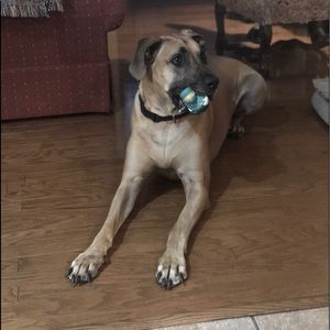 Meet your Posher, Jan